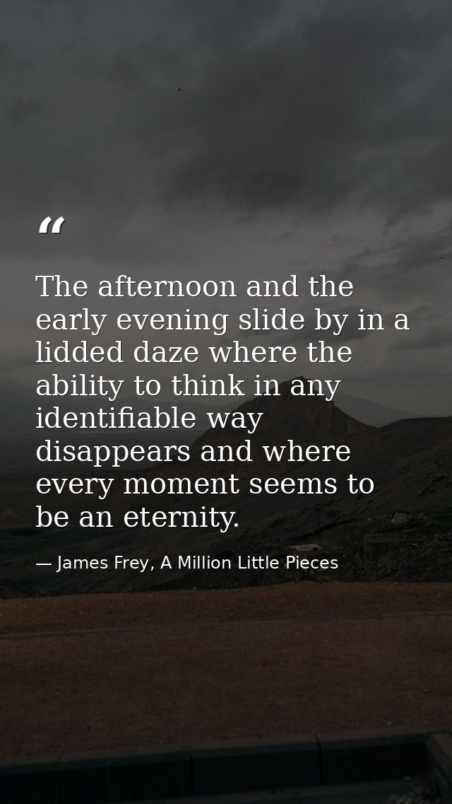 The afternoon and the early evening slide by in a lidded daze where the ability to think in any identifiable way disappe — James Frey, A Million Little Pieces