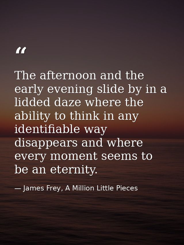 The afternoon and the early evening slide by in a lidded daze where the ability to think in any identifiable way disappe — James Frey, A Million Little Pieces
