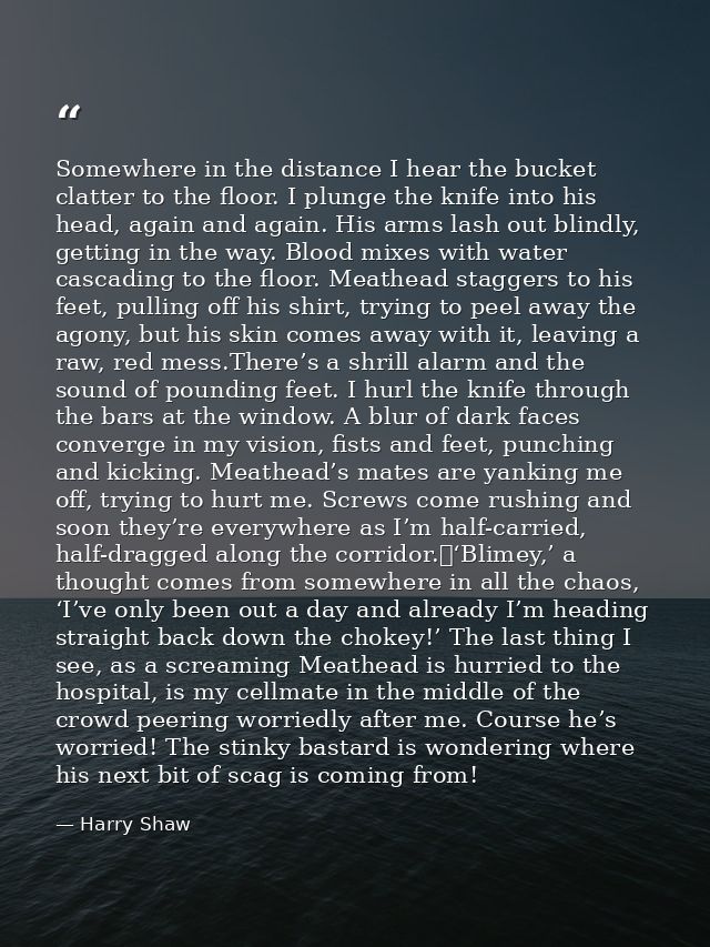Somewhere in the distance I hear the bucket clatter to the floor. I plunge the knife into his head, again and again. His — Harry Shaw
