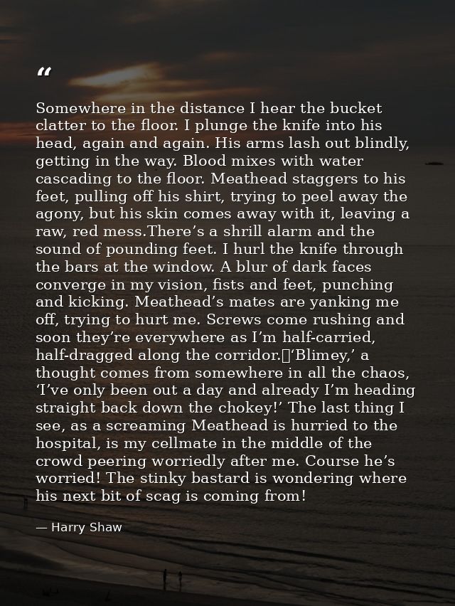 Somewhere in the distance I hear the bucket clatter to the floor. I plunge the knife into his head, again and again. His — Harry Shaw