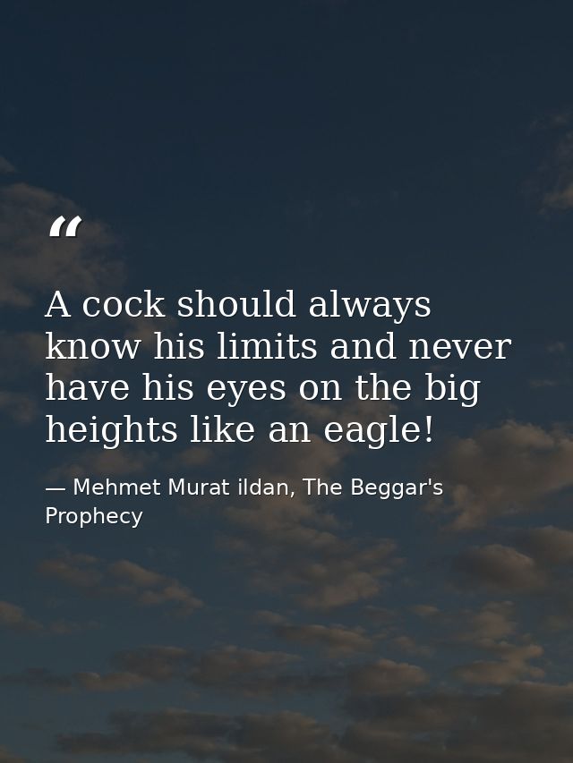 A cock should always know his limits and never have his eyes on the big heights like an eagle! — Mehmet Murat ildan, The Beggar's Prophecy