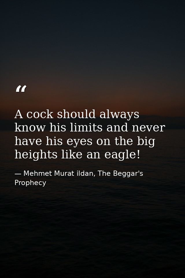 A cock should always know his limits and never have his eyes on the big heights like an eagle! — Mehmet Murat ildan, The Beggar's Prophecy
