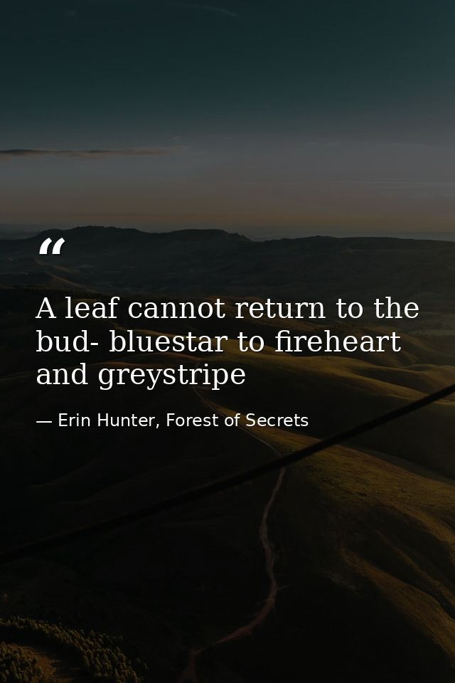 A leaf cannot return to the bud- bluestar to fireheart and greystripe — Erin Hunter, Forest of Secrets