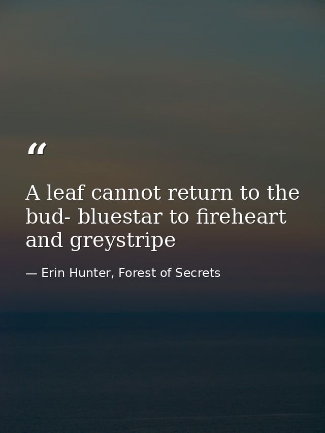 A leaf cannot return to the bud- bluestar to fireheart and greystripe — Erin Hunter, Forest of Secrets