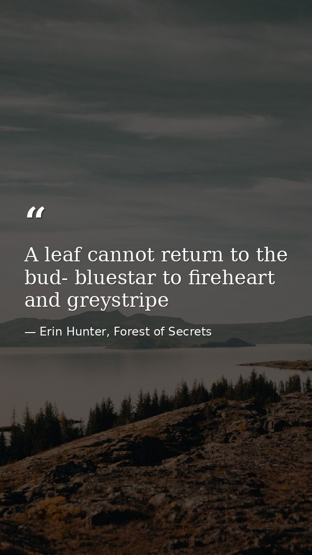 A leaf cannot return to the bud- bluestar to fireheart and greystripe — Erin Hunter, Forest of Secrets