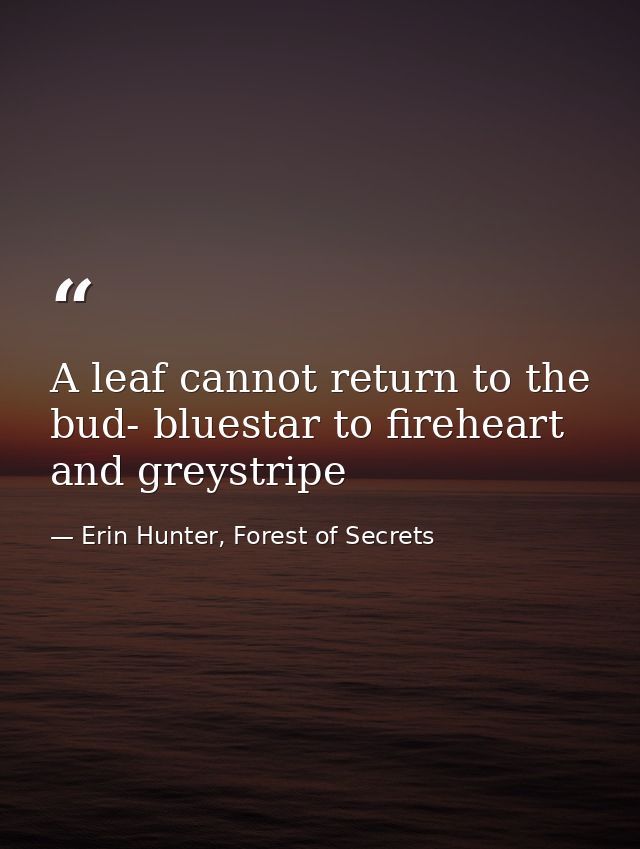 A leaf cannot return to the bud- bluestar to fireheart and greystripe — Erin Hunter, Forest of Secrets