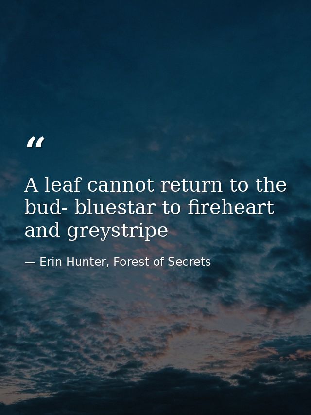 A leaf cannot return to the bud- bluestar to fireheart and greystripe — Erin Hunter, Forest of Secrets