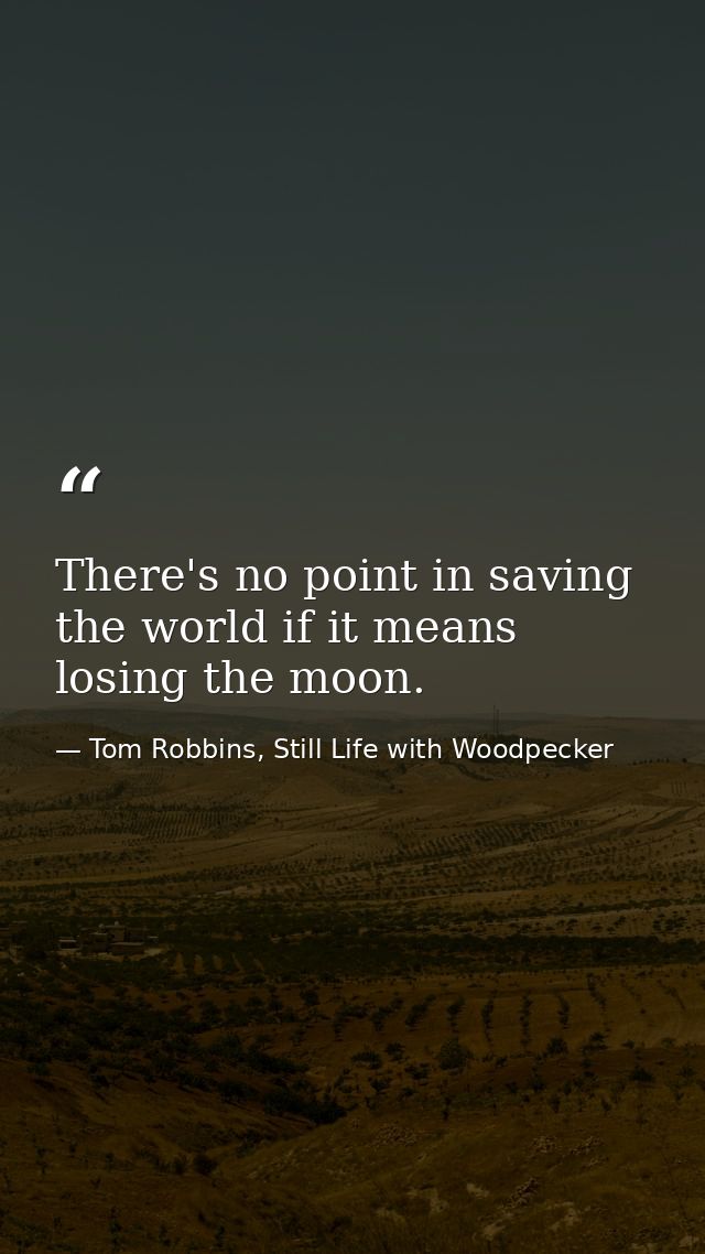 There's no point in saving the world if it means losing the moon. — Tom Robbins, Still Life with Woodpecker