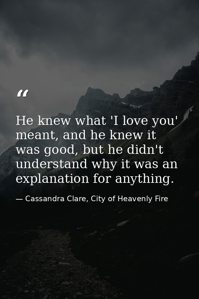 He knew what 'I love you' meant, and he knew it was good, but he didn't understand why it was an explanation for anythin — Cassandra Clare, City of Heavenly Fire