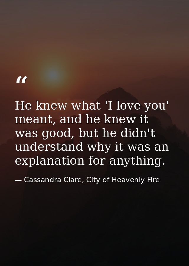 He knew what 'I love you' meant, and he knew it was good, but he didn't understand why it was an explanation for anythin — Cassandra Clare, City of Heavenly Fire