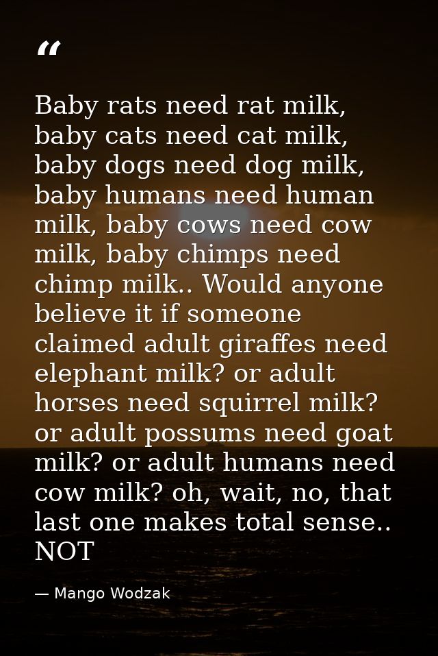 Baby rats need rat milk, baby cats need cat milk, baby dogs need dog milk, baby humans need human milk, baby cows need c — Mango Wodzak