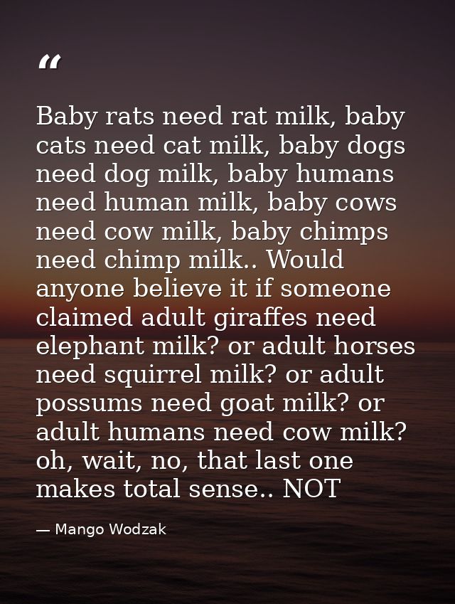 Baby rats need rat milk, baby cats need cat milk, baby dogs need dog milk, baby humans need human milk, baby cows need c — Mango Wodzak