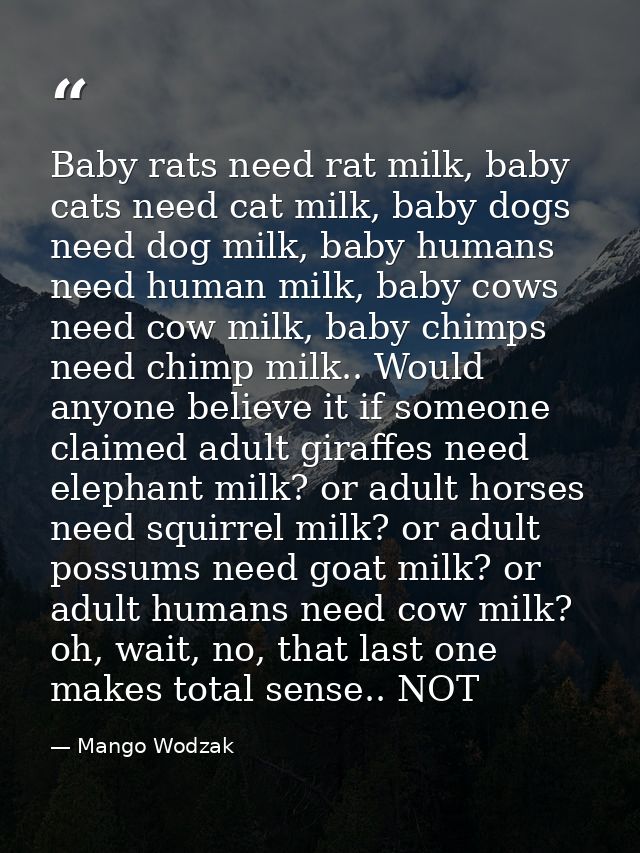 Baby rats need rat milk, baby cats need cat milk, baby dogs need dog milk, baby humans need human milk, baby cows need c — Mango Wodzak