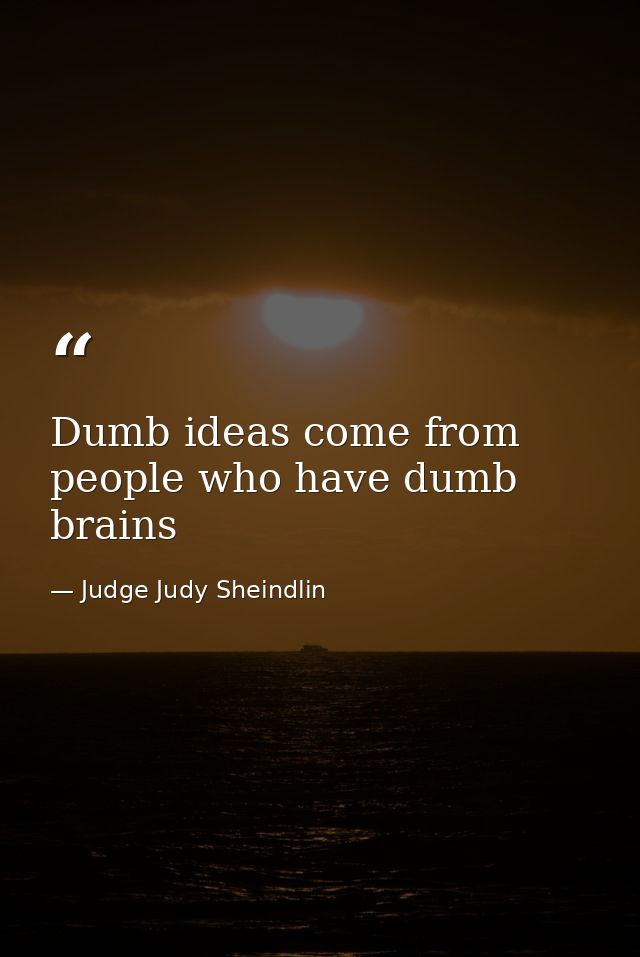 Dumb ideas come from people who have dumb brains — Judge Judy Sheindlin