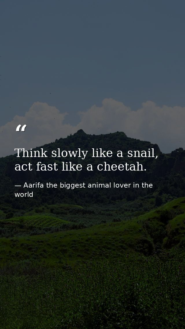Think slowly like a snail, act fast like a cheetah. — Aarifa the biggest animal lover in the world