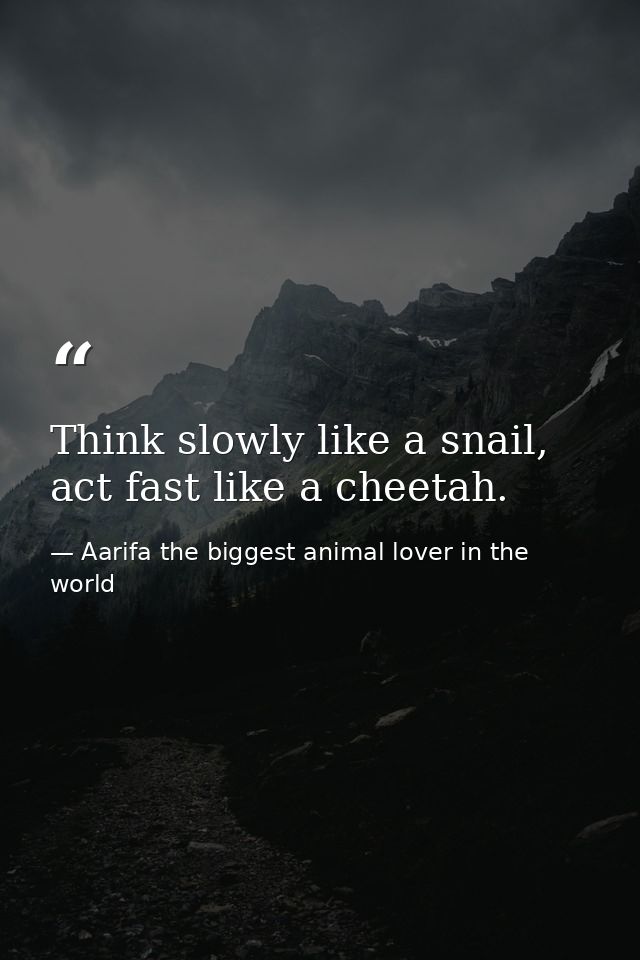 Think slowly like a snail, act fast like a cheetah. — Aarifa the biggest animal lover in the world