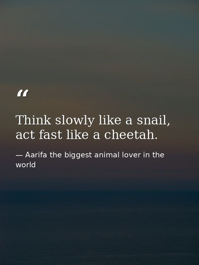 Think slowly like a snail, act fast like a cheetah. — Aarifa the biggest animal lover in the world