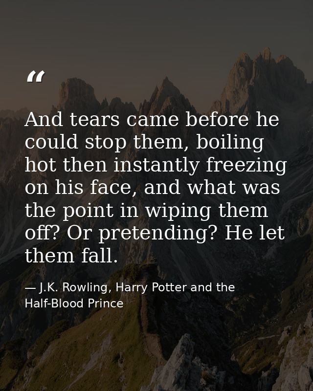 And tears came before he could stop them, boiling hot then instantly freezing on his face, and what was the point in wip — J.K. Rowling, Harry Potter and the Half-Blood Prince