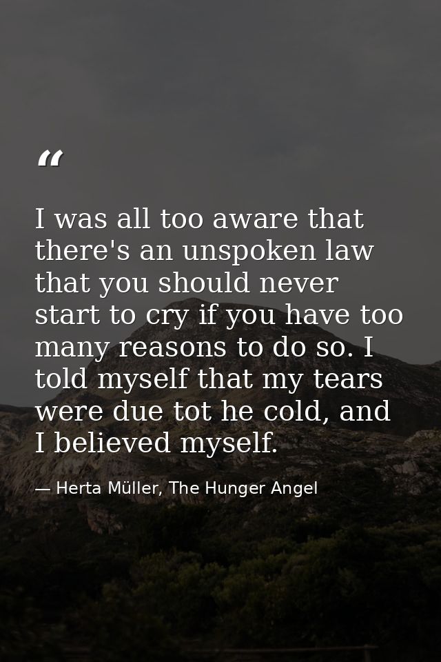 I was all too aware that there's an unspoken law that you should never start to cry if you have too many reasons to do s — Herta Müller, The Hunger Angel