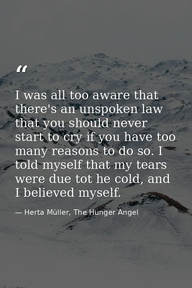 I was all too aware that there's an unspoken law that you should never start to cry if you have too many reasons to do s — Herta Müller, The Hunger Angel