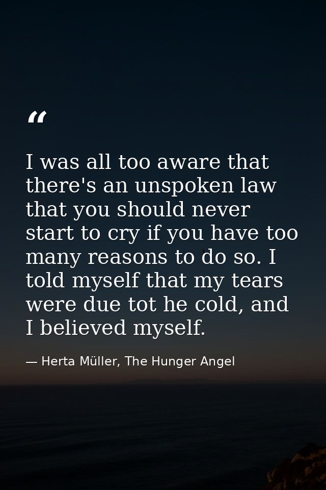 I was all too aware that there's an unspoken law that you should never start to cry if you have too many reasons to do s — Herta Müller, The Hunger Angel