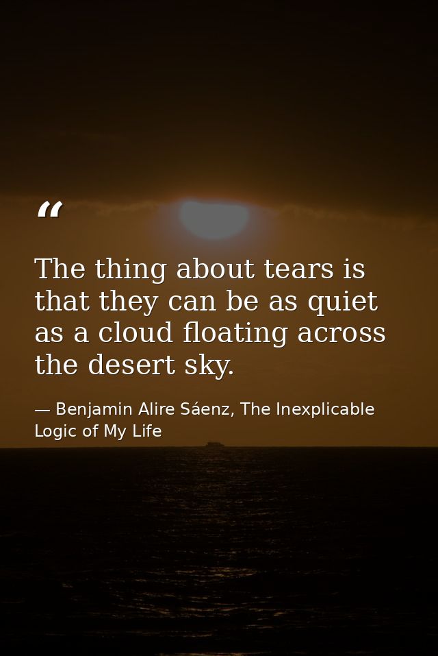 The thing about tears is that they can be as quiet as a cloud floating across the desert sky. — Benjamin Alire Sáenz, The Inexplicable Logic of My Life