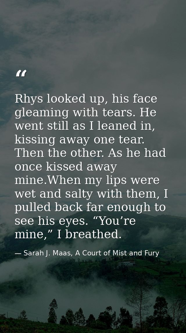 Rhys looked up, his face gleaming with tears. He went still as I leaned in, kissing away one tear. Then the other. As he — Sarah J. Maas, A Court of Mist and Fury