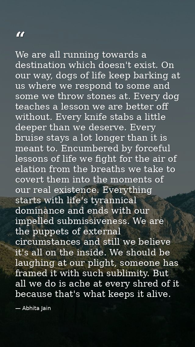 We are all running towards a destination which doesn't exist. On our way, dogs of life keep barking at us where we respo — Abhita Jain