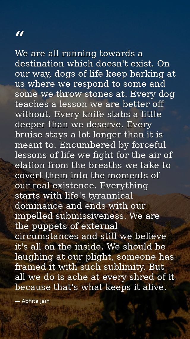We are all running towards a destination which doesn't exist. On our way, dogs of life keep barking at us where we respo — Abhita Jain