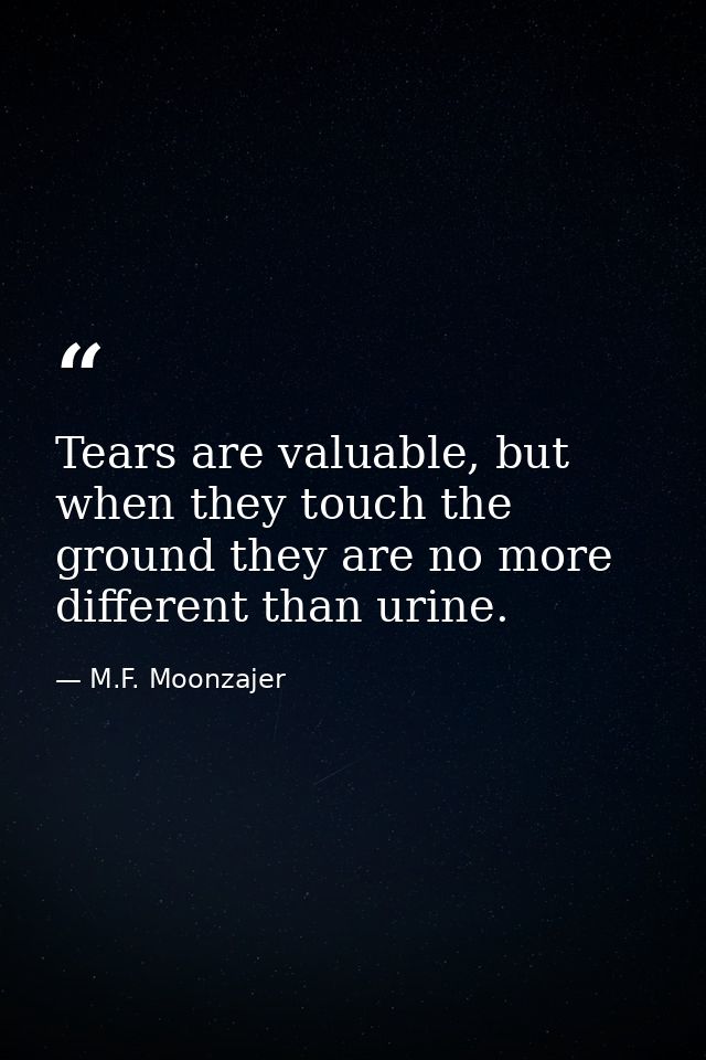 Tears are valuable, but when they touch the ground they are no more different than urine. — M.F. Moonzajer