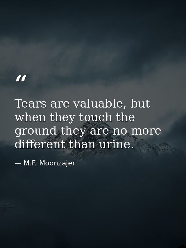 Tears are valuable, but when they touch the ground they are no more different than urine. — M.F. Moonzajer