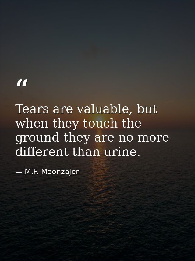 Tears are valuable, but when they touch the ground they are no more different than urine. — M.F. Moonzajer
