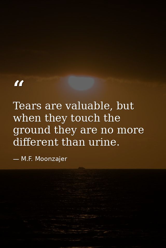 Tears are valuable, but when they touch the ground they are no more different than urine. — M.F. Moonzajer
