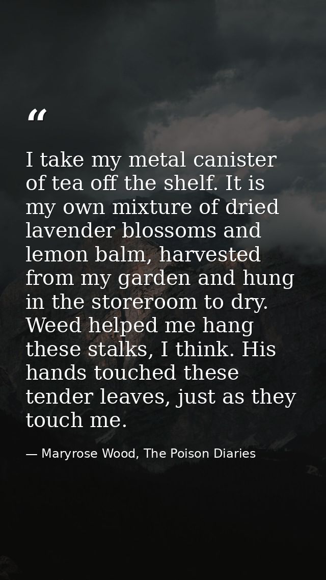 I take my metal canister of tea off the shelf. It is my own mixture of dried lavender blossoms and lemon balm, harvested — Maryrose Wood, The Poison Diaries