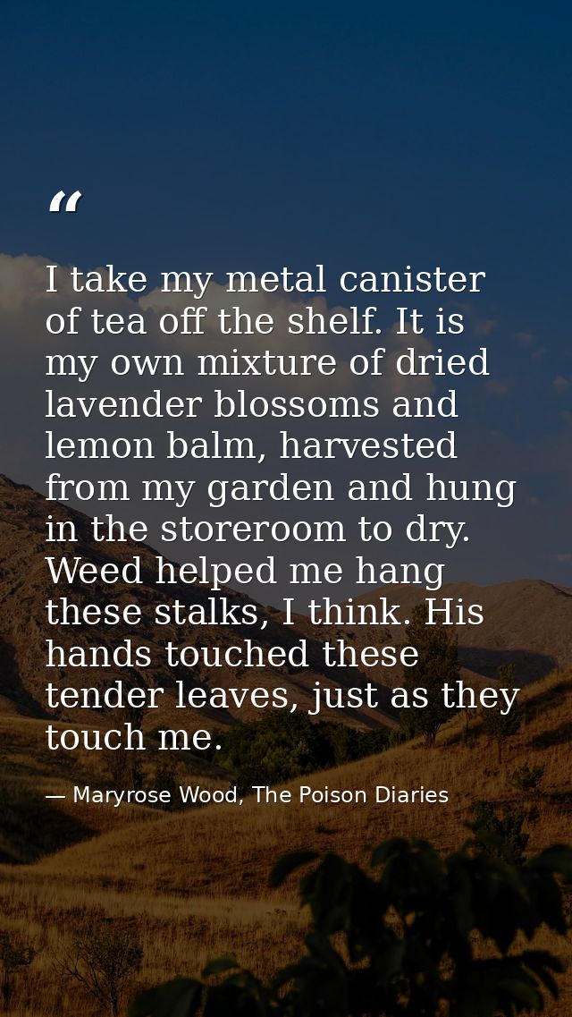 I take my metal canister of tea off the shelf. It is my own mixture of dried lavender blossoms and lemon balm, harvested — Maryrose Wood, The Poison Diaries