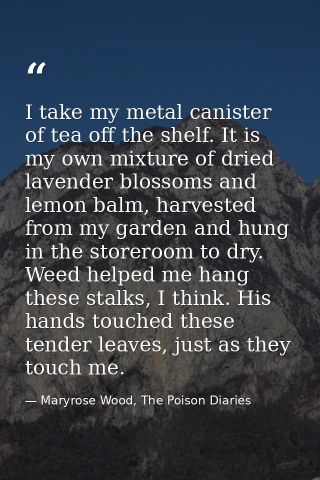 I take my metal canister of tea off the shelf. It is my own mixture of dried lavender blossoms and lemon balm, harvested — Maryrose Wood, The Poison Diaries