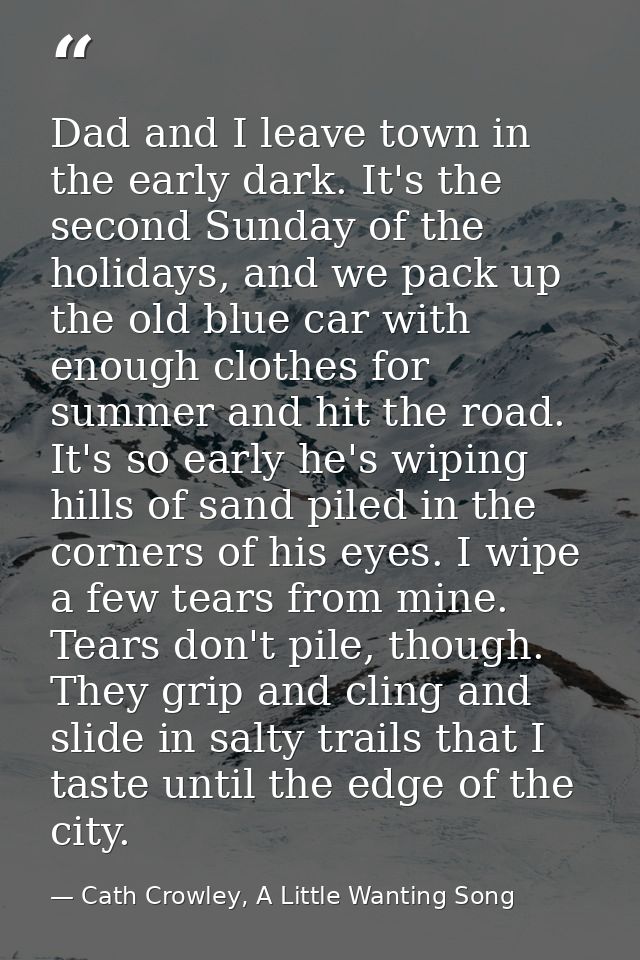 Dad and I leave town in the early dark. It's the second Sunday of the holidays, and we pack up the old blue car with eno — Cath Crowley, A Little Wanting Song