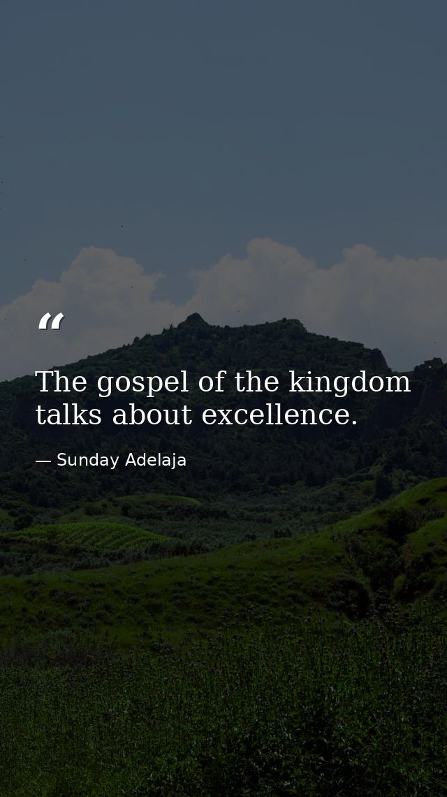The gospel of the kingdom talks about excellence. — Sunday Adelaja