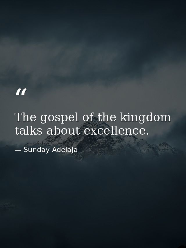 The gospel of the kingdom talks about excellence. — Sunday Adelaja