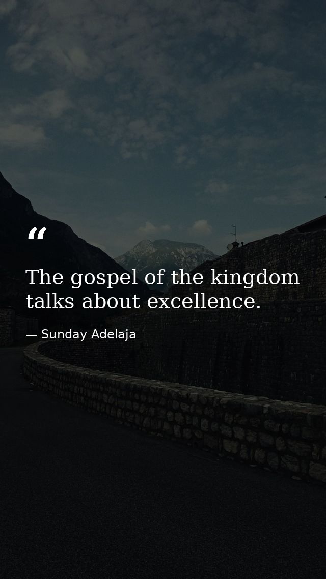 The gospel of the kingdom talks about excellence. — Sunday Adelaja