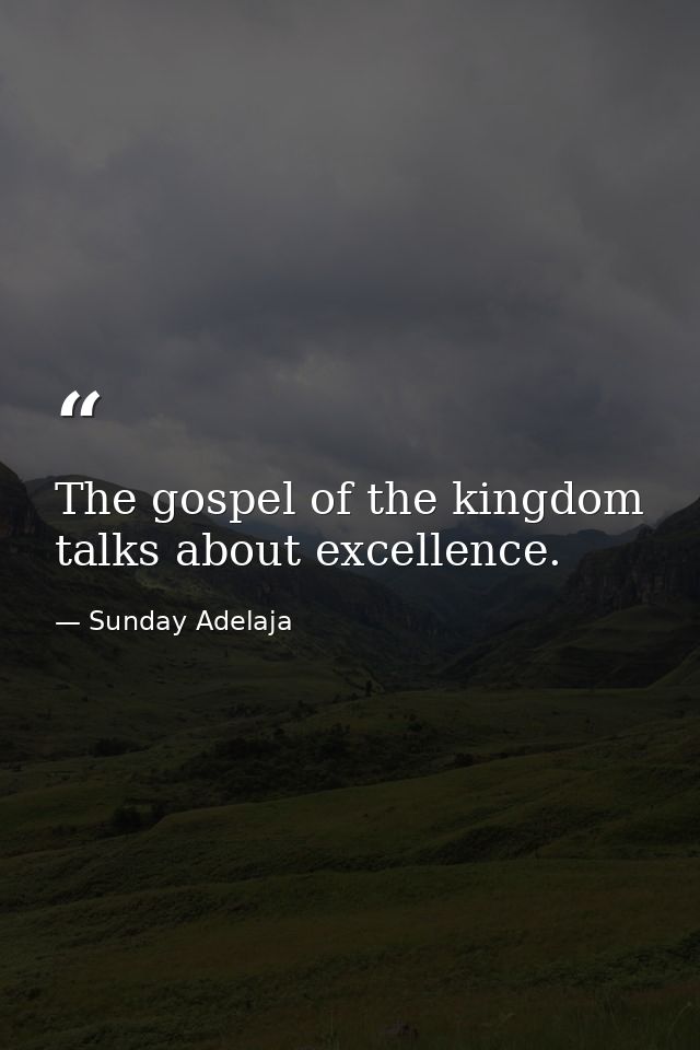 The gospel of the kingdom talks about excellence. — Sunday Adelaja