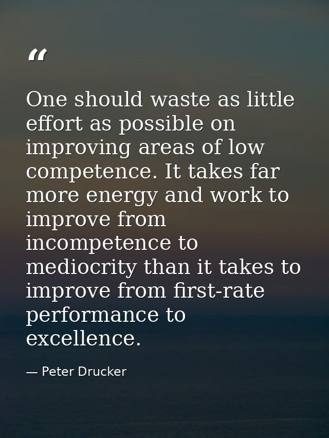 One should waste as little effort as possible on improving areas of low competence. It takes far more energy and work to — Peter Drucker