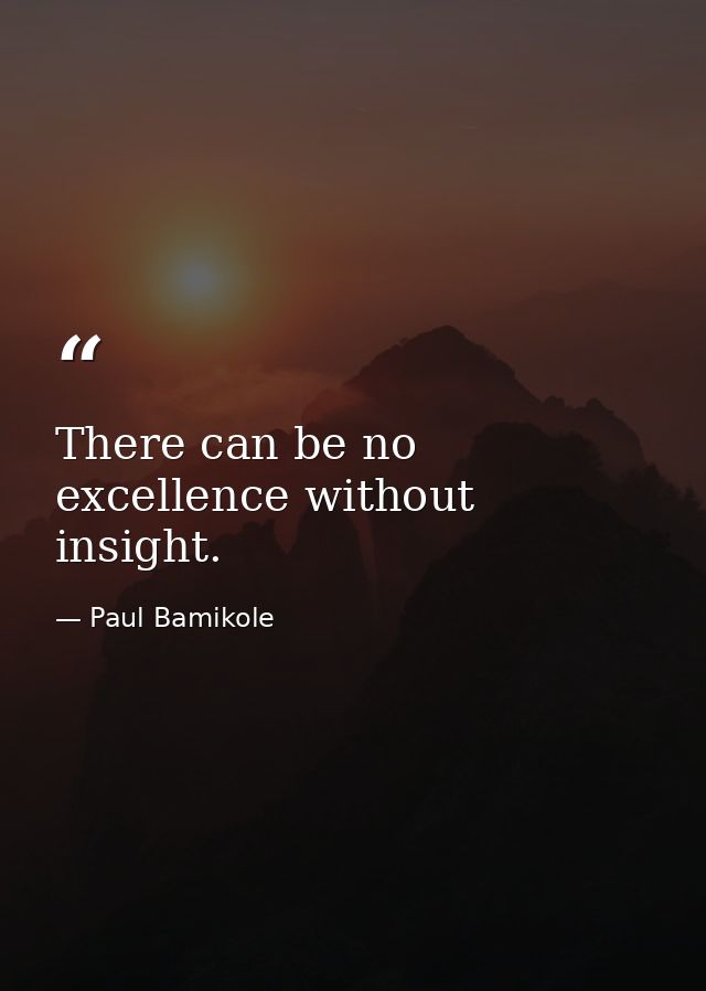 There can be no excellence without insight. — Paul Bamikole