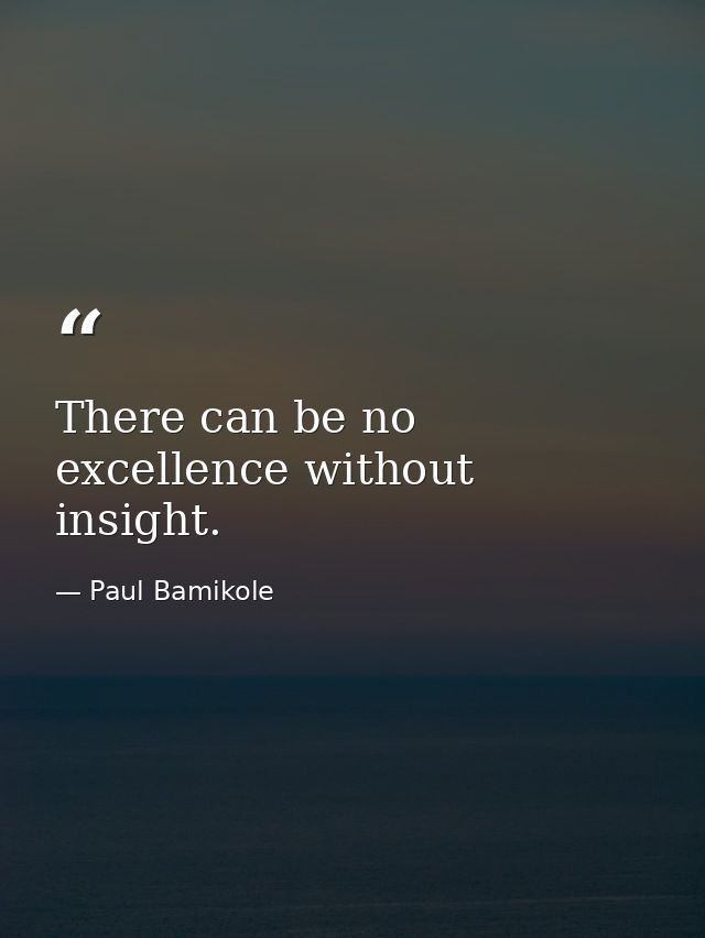 There can be no excellence without insight. — Paul Bamikole