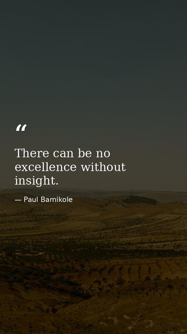 There can be no excellence without insight. — Paul Bamikole