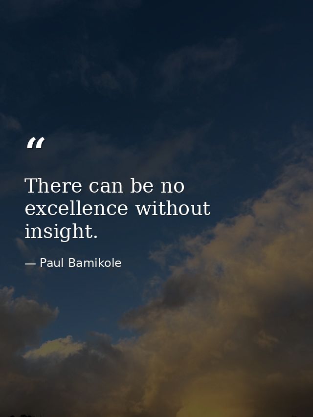 There can be no excellence without insight. — Paul Bamikole