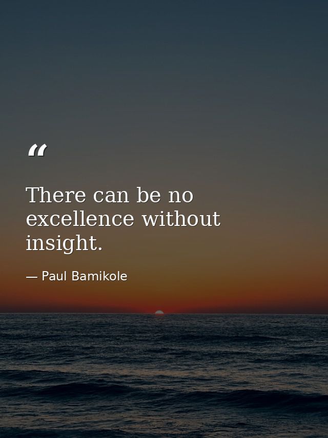 There can be no excellence without insight. — Paul Bamikole