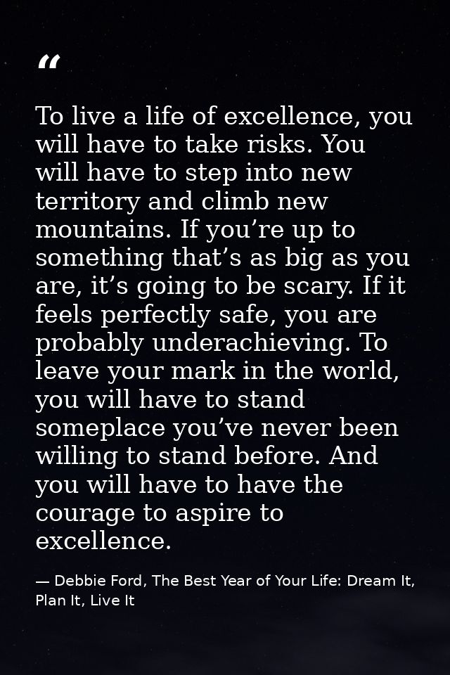 To live a life of excellence, you will have to take risks. You will have to step into new territory and climb new mounta — Debbie Ford, The Best Year of Your Life: Dream It, Plan It, Live It