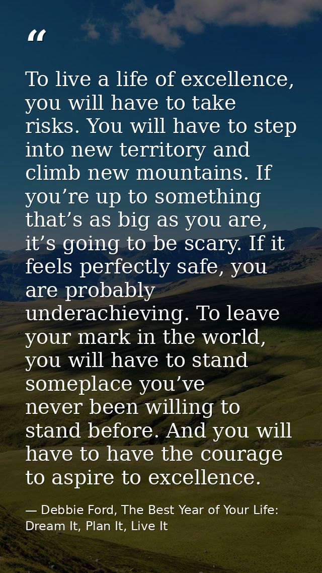 To live a life of excellence, you will have to take risks. You will have to step into new territory and climb new mounta — Debbie Ford, The Best Year of Your Life: Dream It, Plan It, Live It