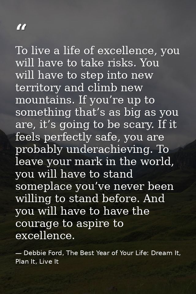 To live a life of excellence, you will have to take risks. You will have to step into new territory and climb new mounta — Debbie Ford, The Best Year of Your Life: Dream It, Plan It, Live It